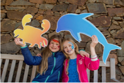 Scottish Seabird Centre