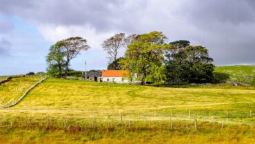 Photo by Andrew Buchanan on Unsplash